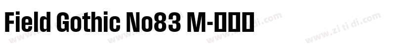 Field Gothic No83 M字体转换